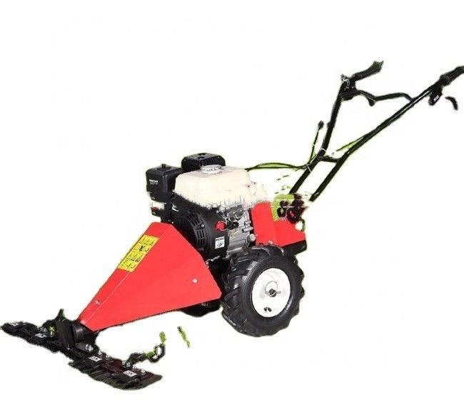 196CC पेट्रोल घास काटने की मशीन 1200W गैसोलीन घास काटने की मशीन 3 1/4इंच अधिकतम काटने की ऊंचाई
